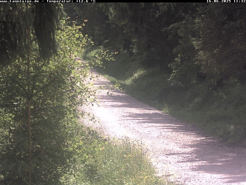 Webcam Weitersglashütte 1