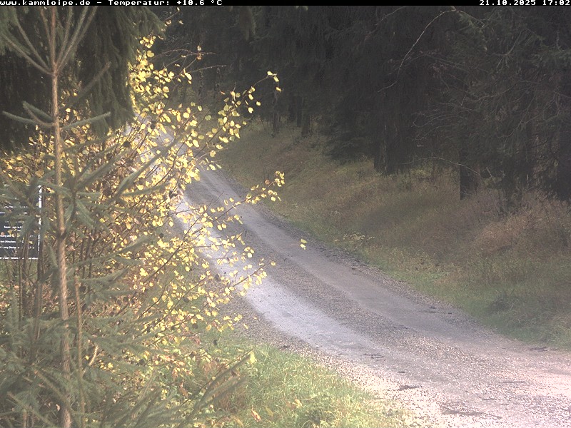 Webcam Weitersglashütte 1