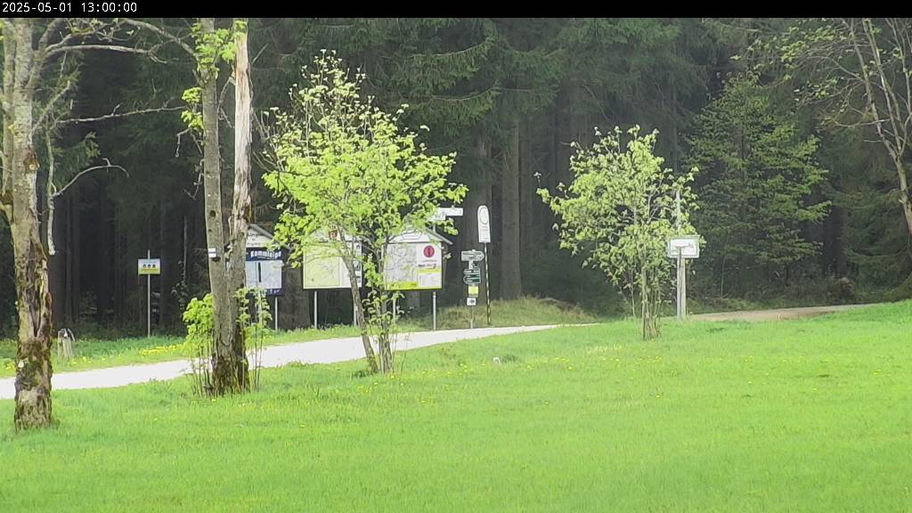 Webcam Johanngeorgenstadt