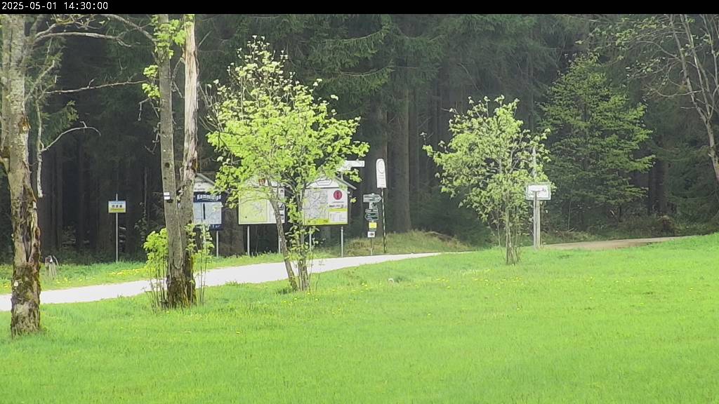Webcam Johanngeorgenstadt