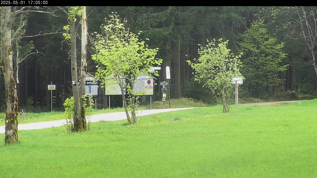 Webcam Johanngeorgenstadt