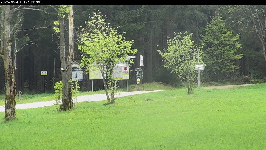 Webcam Johanngeorgenstadt