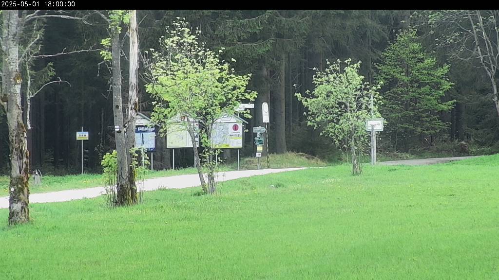Webcam Johanngeorgenstadt