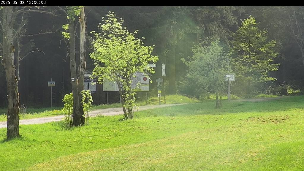 Webcam Johanngeorgenstadt