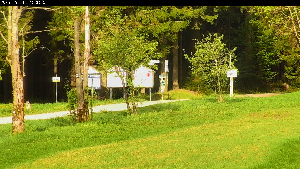 Webcam Johanngeorgenstadt