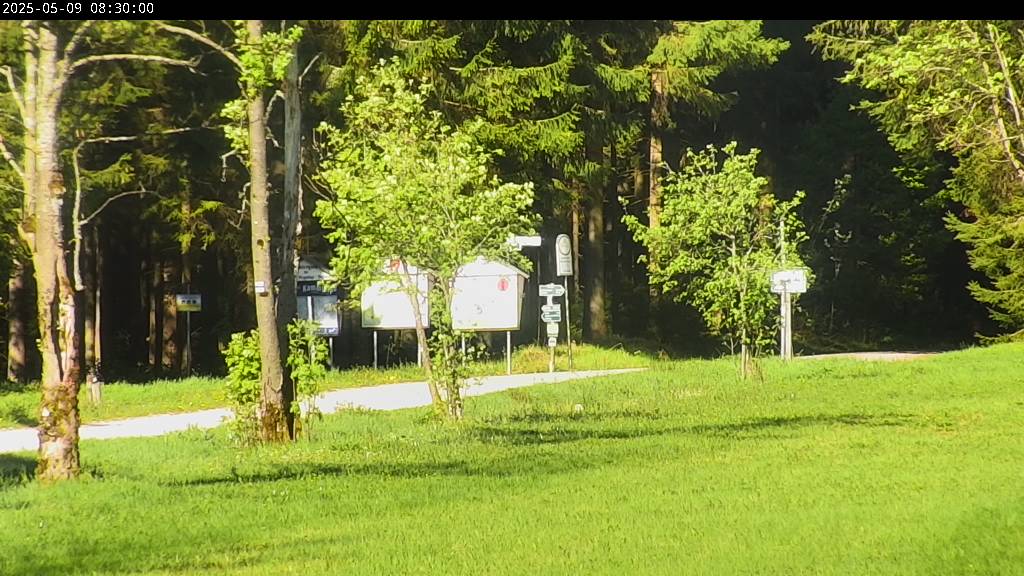 Webcam Johanngeorgenstadt
