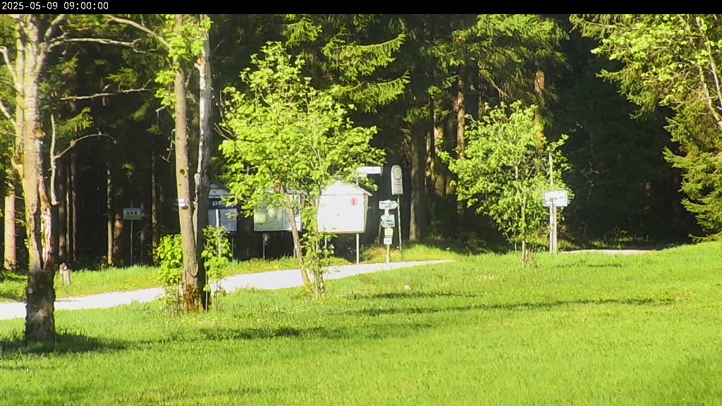 Webcam Johanngeorgenstadt