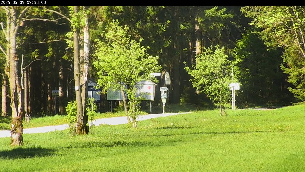 Webcam Johanngeorgenstadt