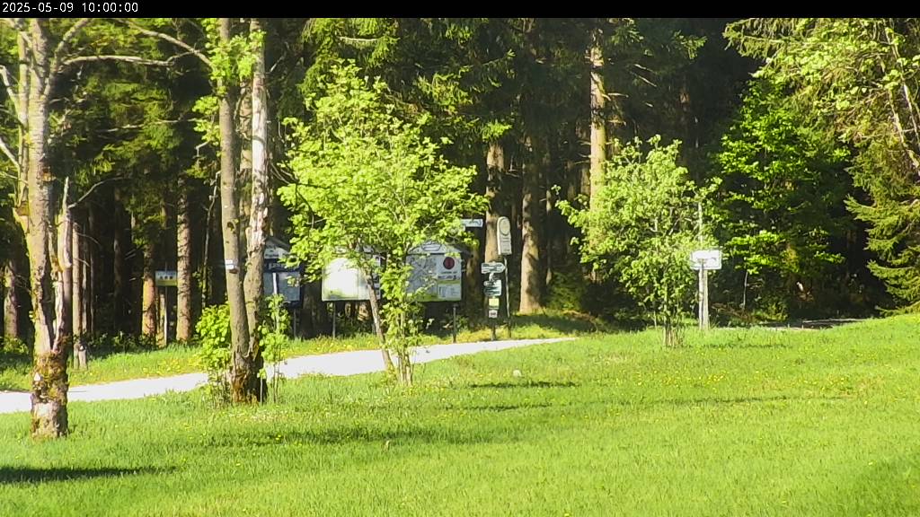 Webcam Johanngeorgenstadt