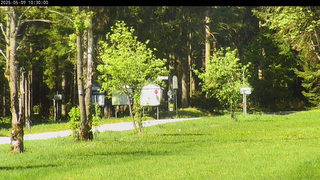 Webcam Johanngeorgenstadt