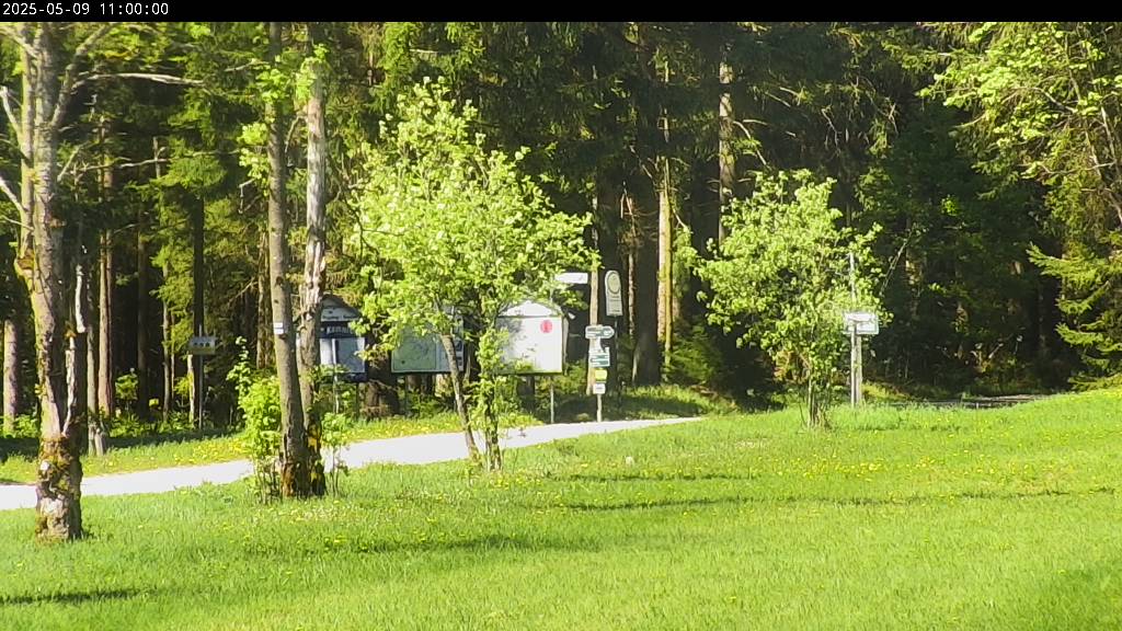 Webcam Johanngeorgenstadt