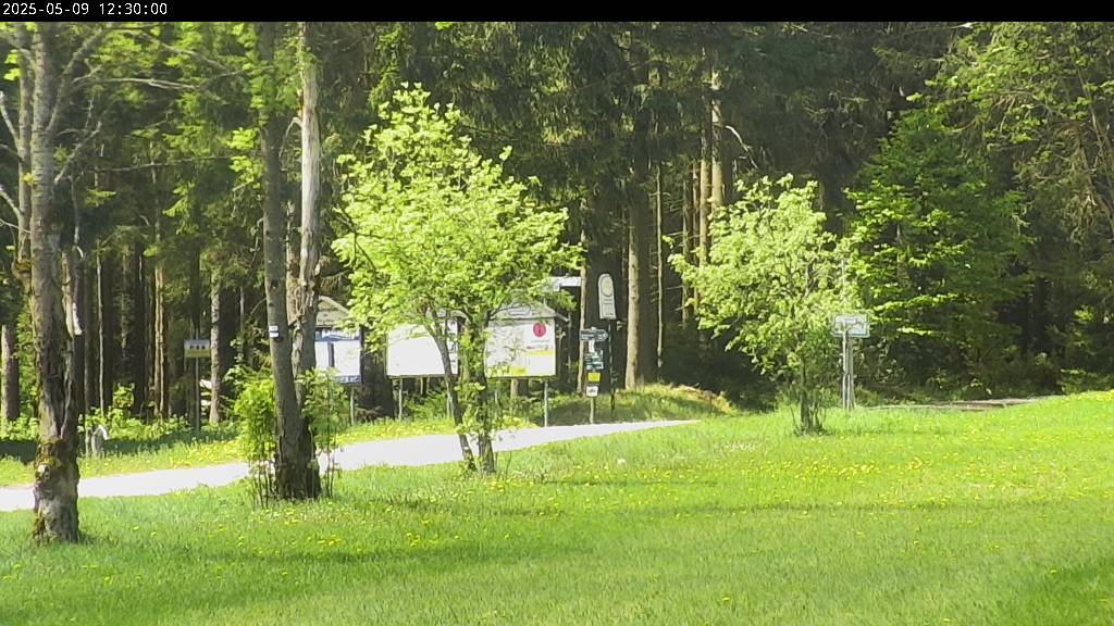 Webcam Johanngeorgenstadt
