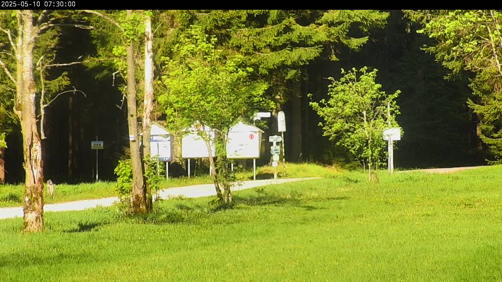 Webcam Johanngeorgenstadt