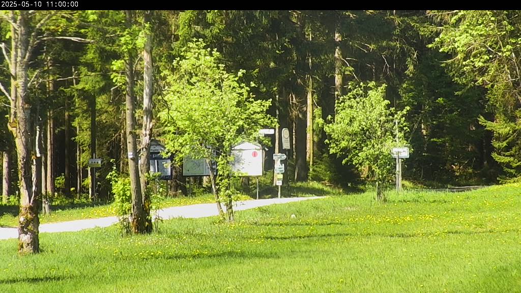 Webcam Johanngeorgenstadt