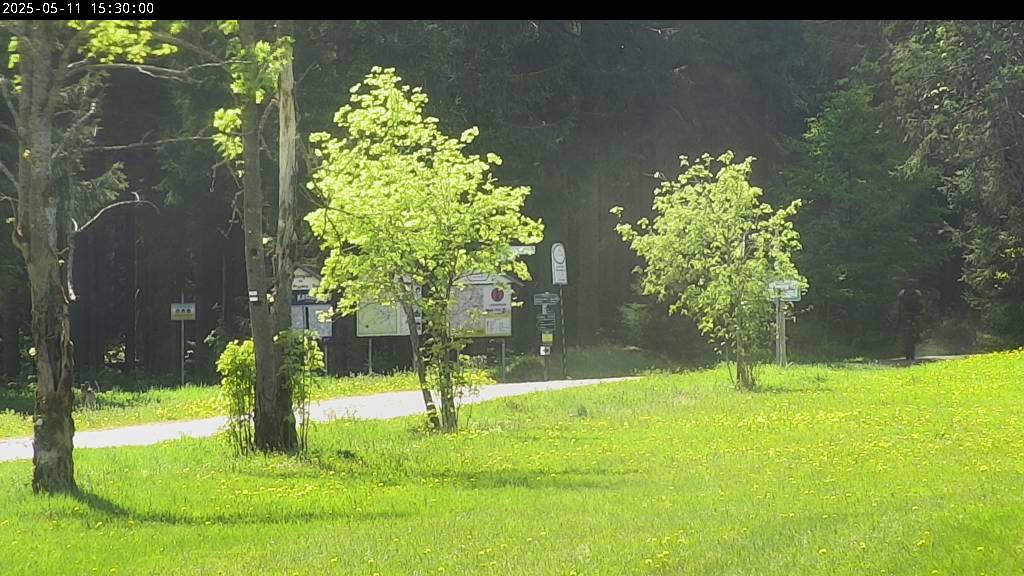 Webcam Johanngeorgenstadt