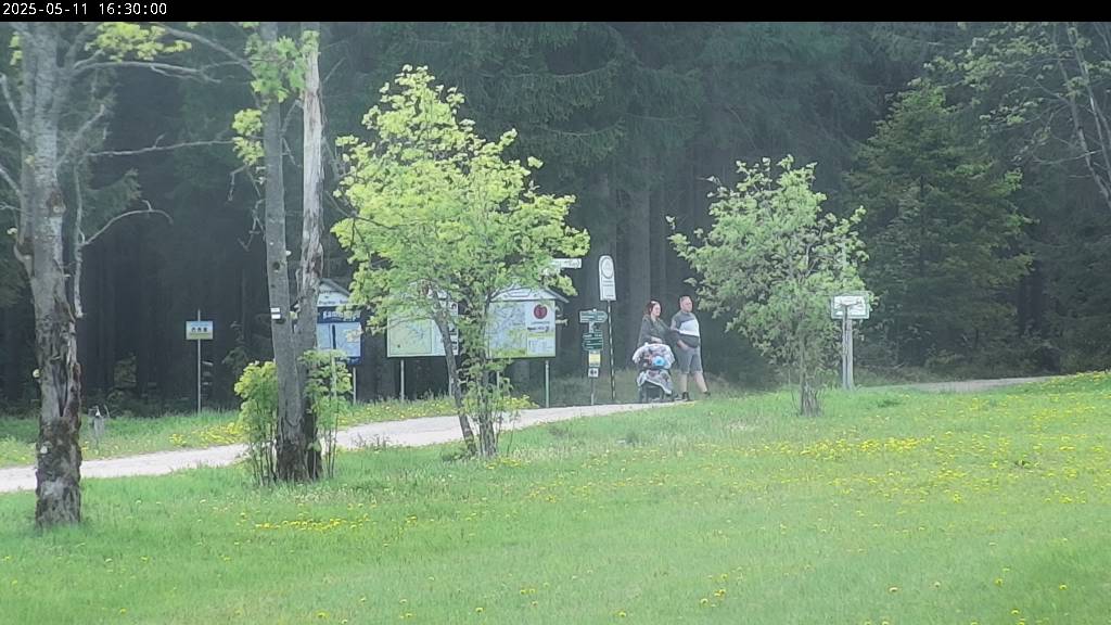 Webcam Johanngeorgenstadt