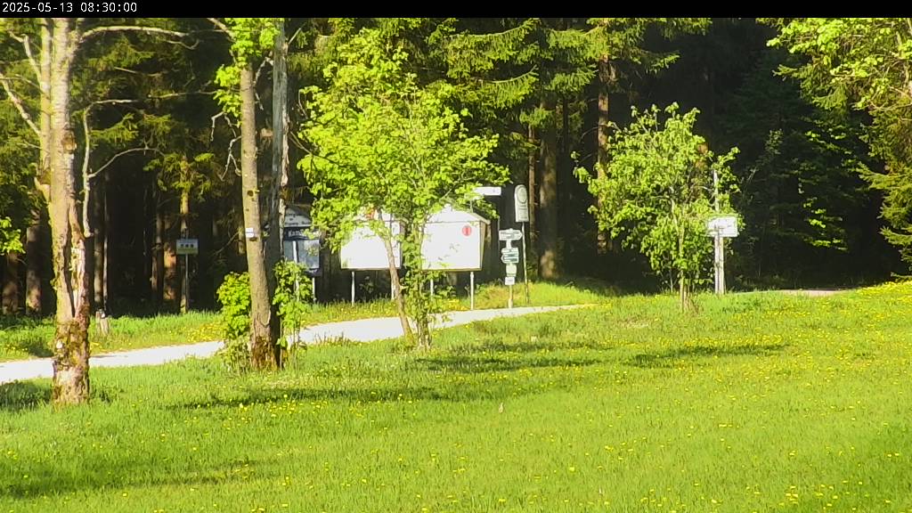 Webcam Johanngeorgenstadt