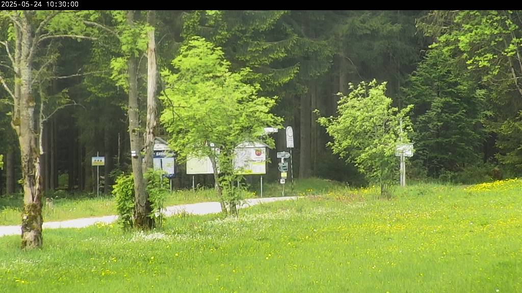 Webcam Johanngeorgenstadt