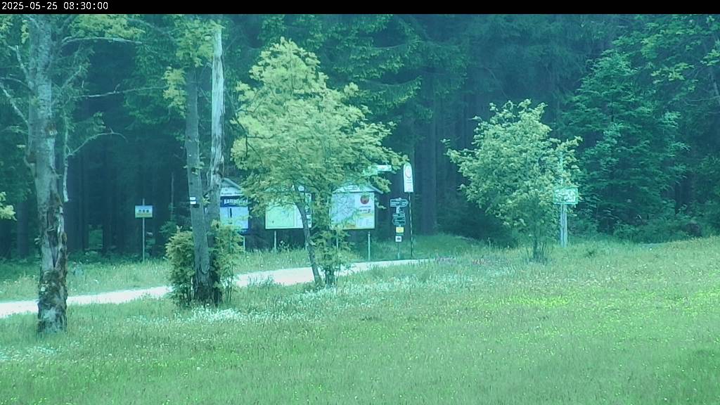 Webcam Johanngeorgenstadt