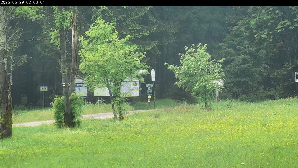 Webcam Johanngeorgenstadt