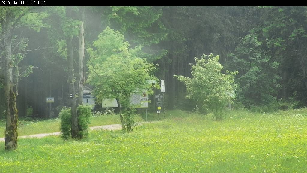 Webcam Johanngeorgenstadt