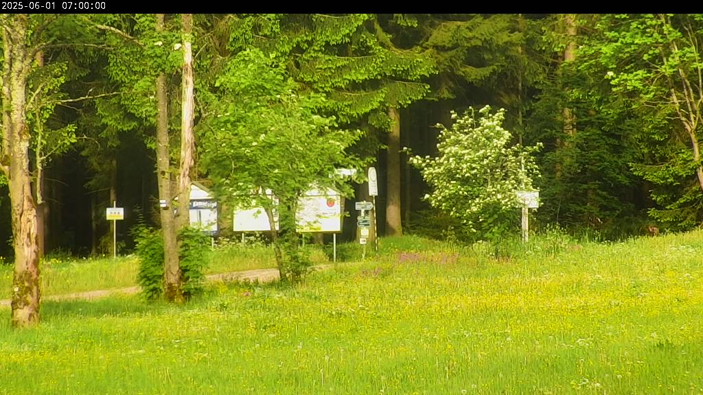 Webcam Johanngeorgenstadt