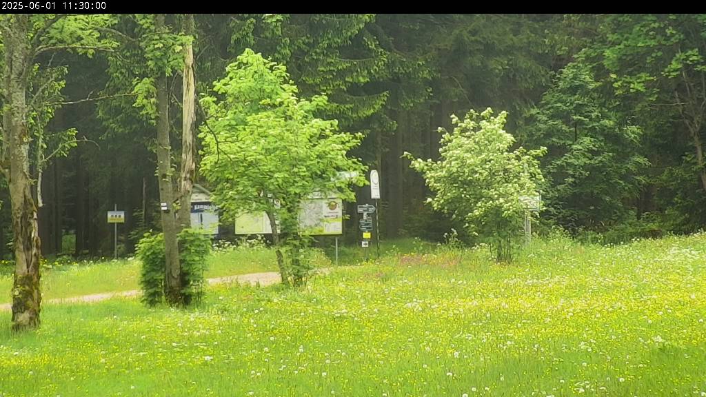 Webcam Johanngeorgenstadt
