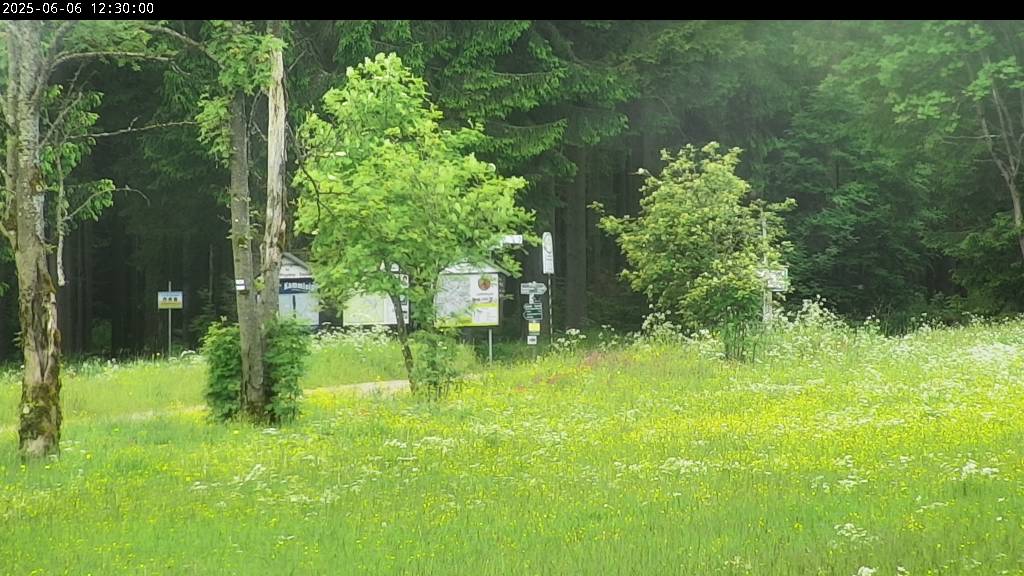 Webcam Johanngeorgenstadt