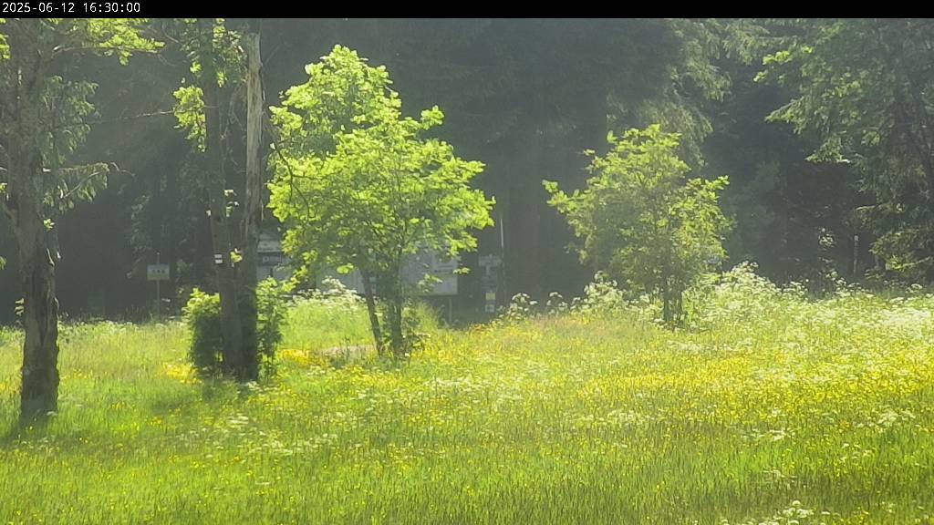 Webcam Johanngeorgenstadt