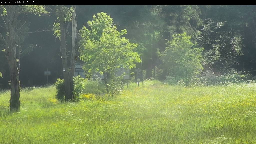 Webcam Johanngeorgenstadt
