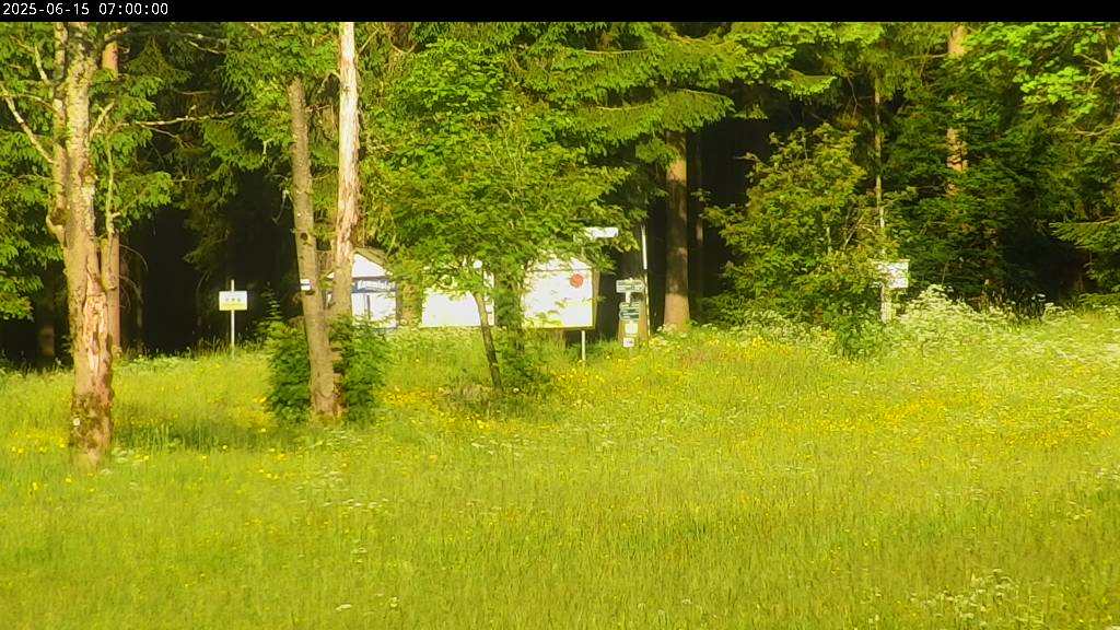 Webcam Johanngeorgenstadt