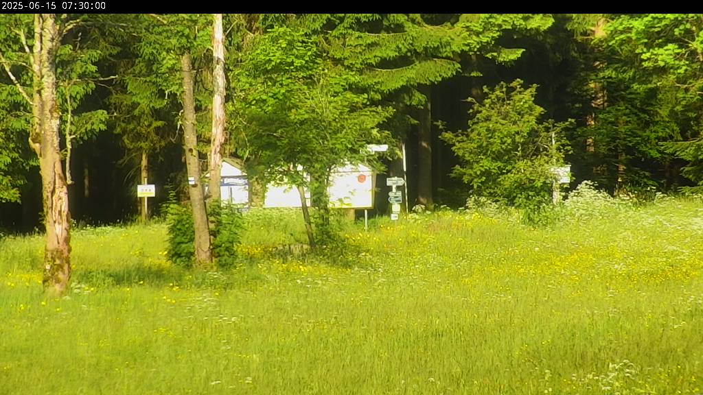 Webcam Johanngeorgenstadt