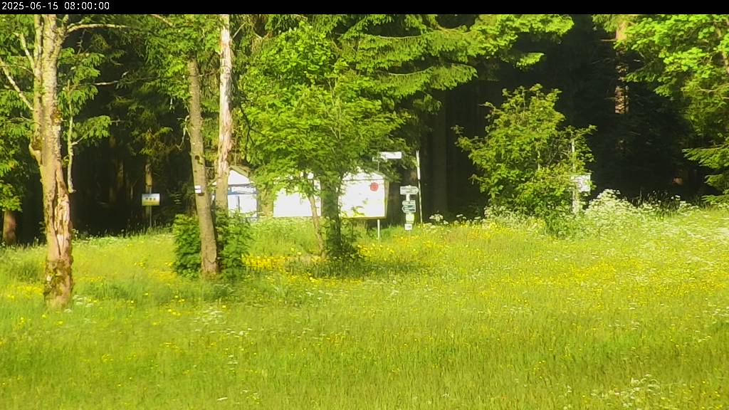 Webcam Johanngeorgenstadt