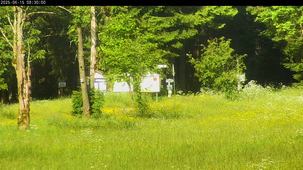 Webcam Johanngeorgenstadt