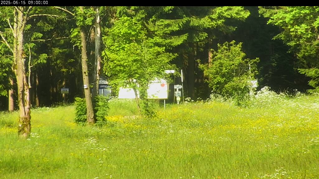 Webcam Johanngeorgenstadt