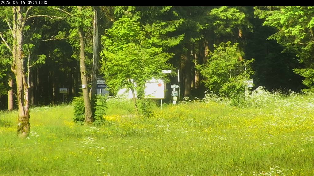 Webcam Johanngeorgenstadt