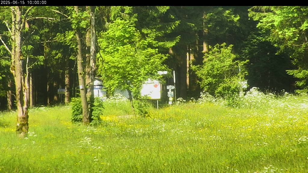 Webcam Johanngeorgenstadt