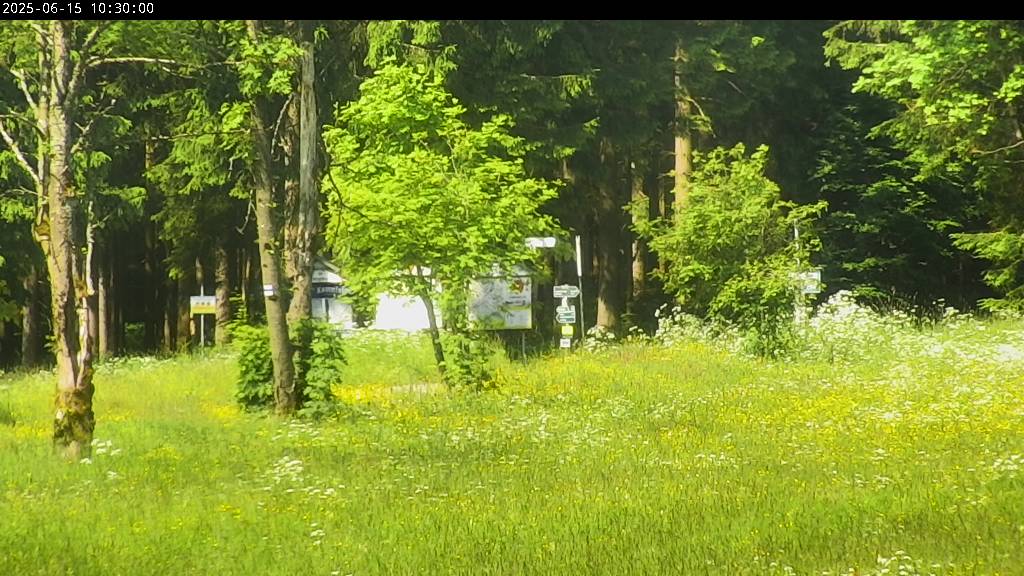 Webcam Johanngeorgenstadt