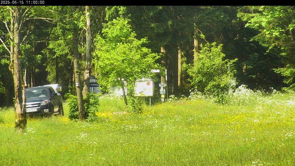 Webcam Johanngeorgenstadt