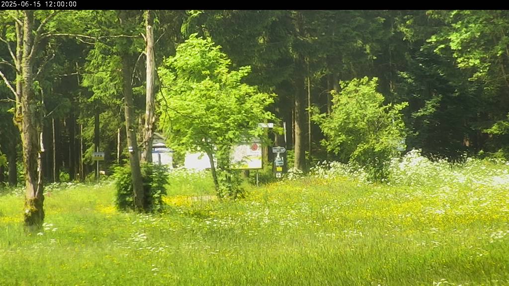 Webcam Johanngeorgenstadt