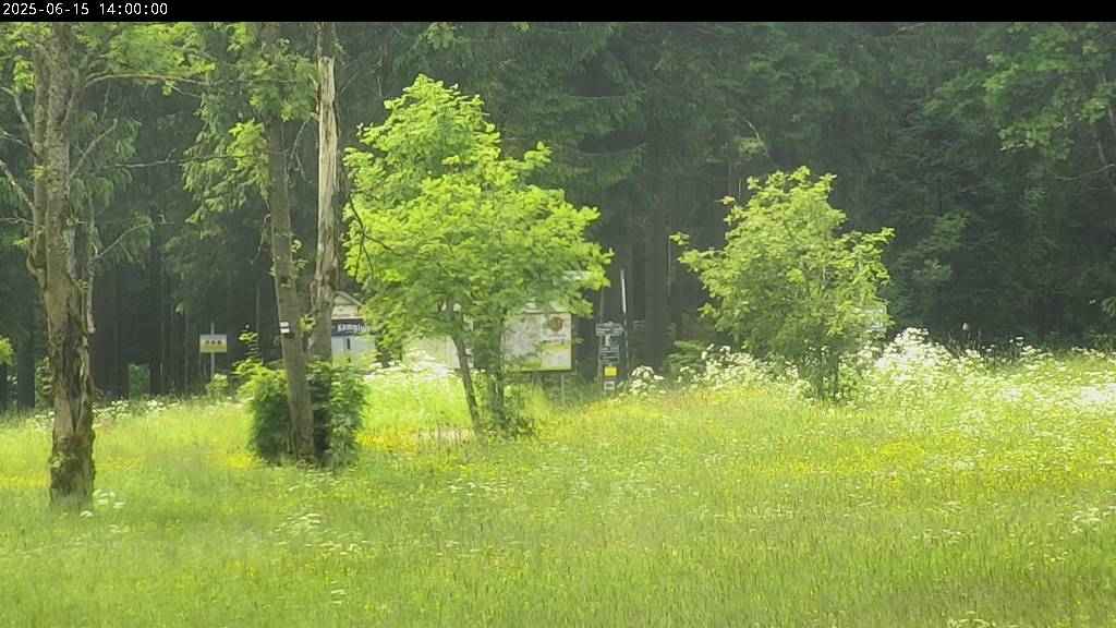 Webcam Johanngeorgenstadt