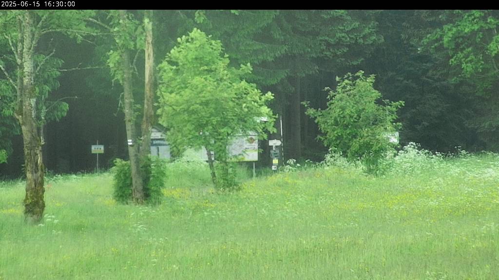 Webcam Johanngeorgenstadt