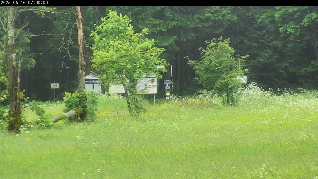Webcam Johanngeorgenstadt
