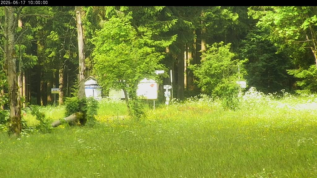 Webcam Johanngeorgenstadt