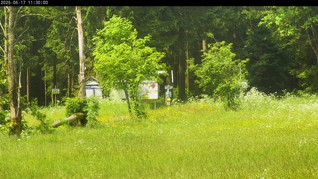 Webcam Johanngeorgenstadt