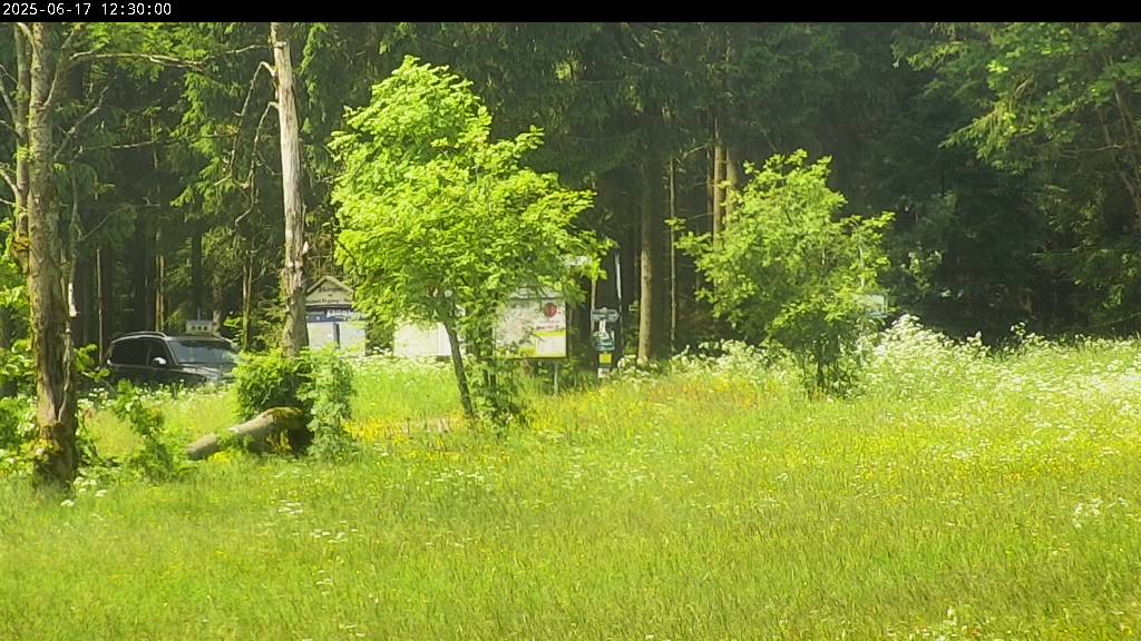 Webcam Johanngeorgenstadt