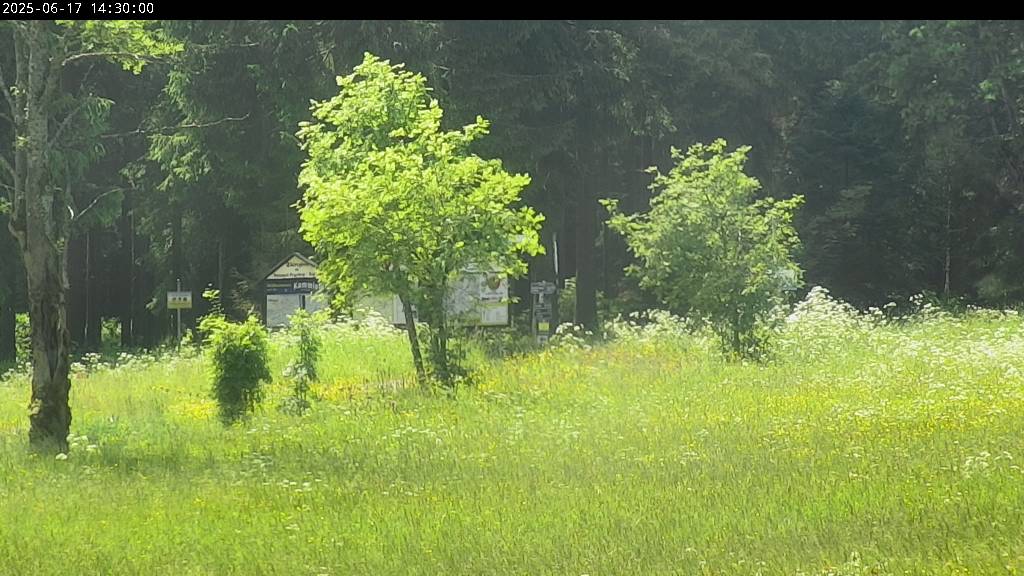 Webcam Johanngeorgenstadt
