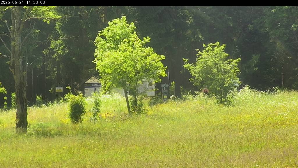 Webcam Johanngeorgenstadt