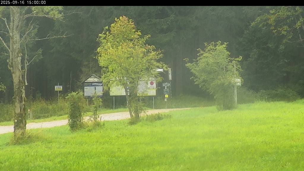 Webcam Johanngeorgenstadt