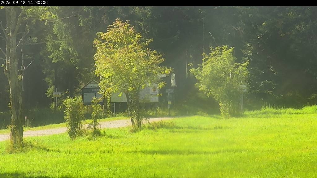 Webcam Johanngeorgenstadt